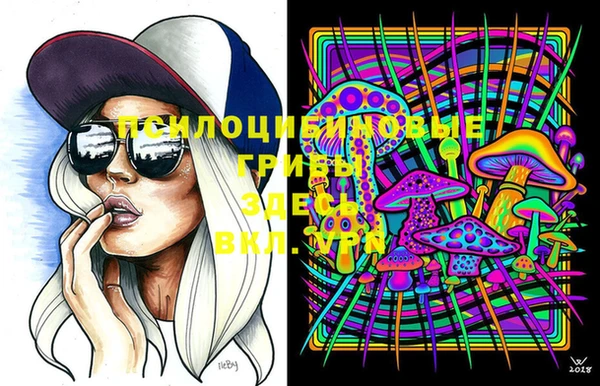 первитин Армянск