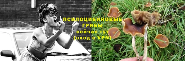 марихуана Аркадак